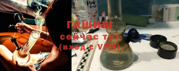 хмурый Гусь-Хрустальный
