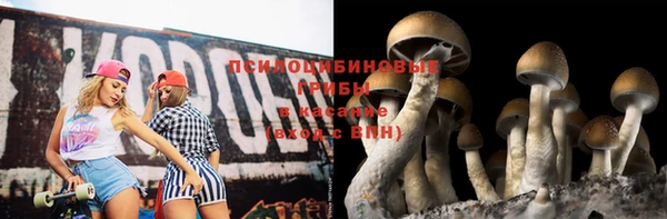 мет Дмитриев