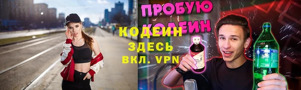 хмурый Гусь-Хрустальный
