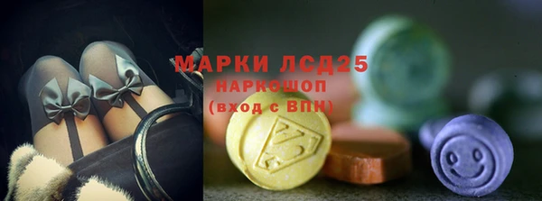 мет Дмитриев