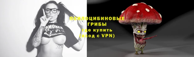 первитин Гусев