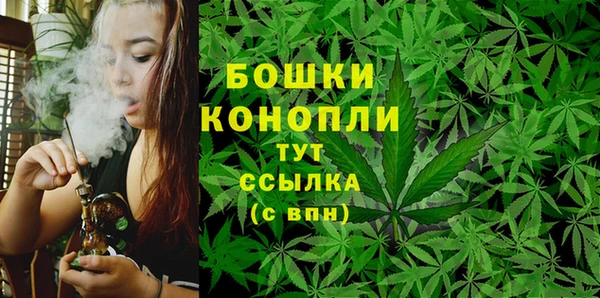 мет Дмитриев