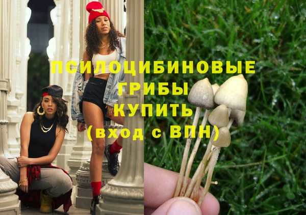 мет Дмитриев