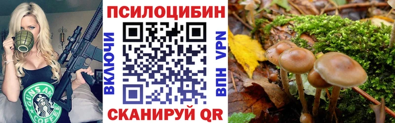Купить закладки  Истра  Псилоцибиновые грибы мицелий 